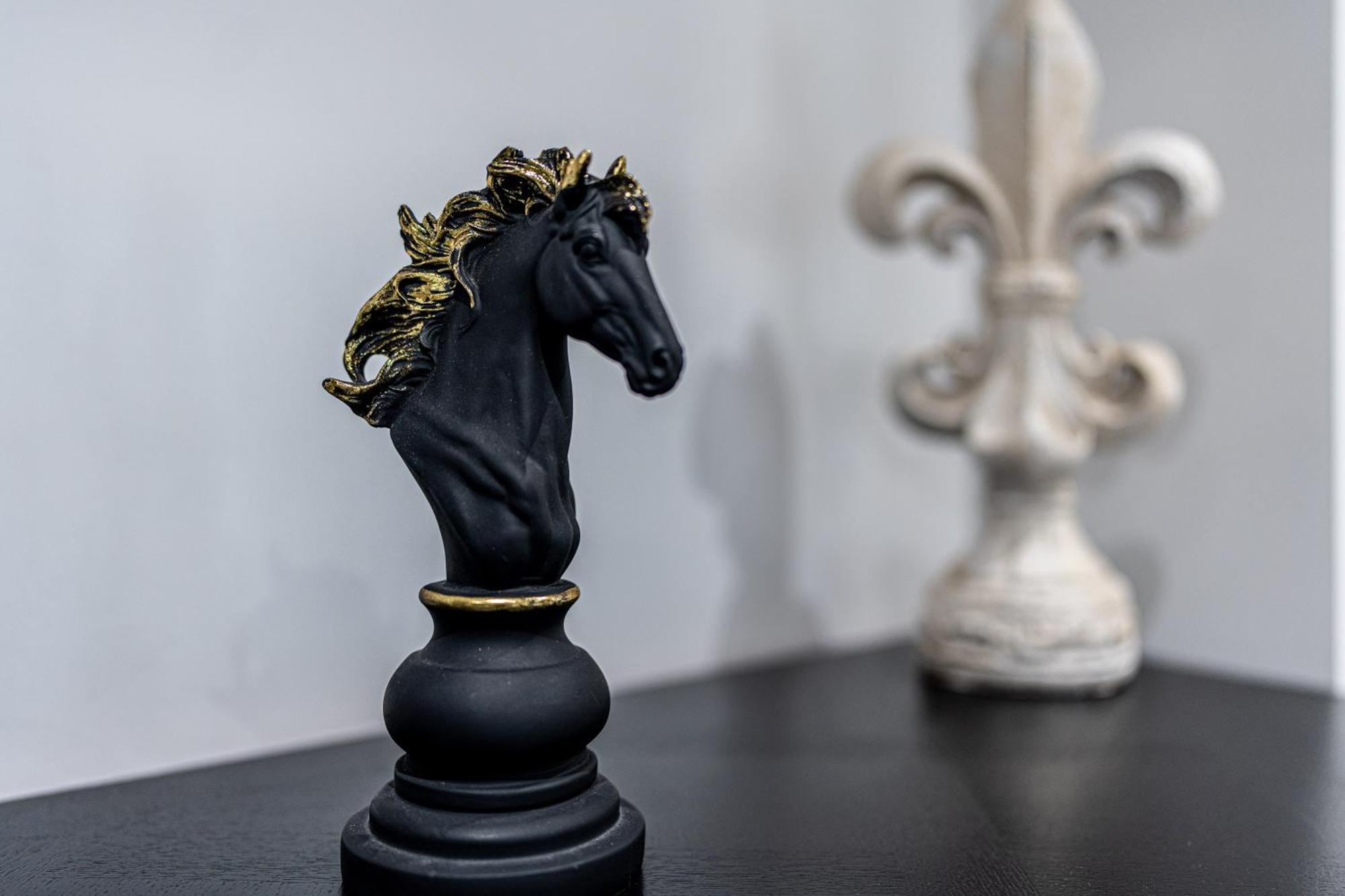 Des Chevaliers - Designed By C.m * Selestat